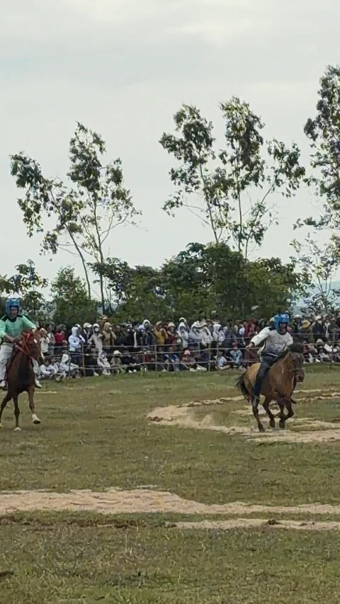 Go Thi Thung Horse Racing Festival – Phu Yen: "Warhorses" Gallop in Mild Spring Weather